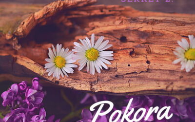 Sekret 2 – POKORA